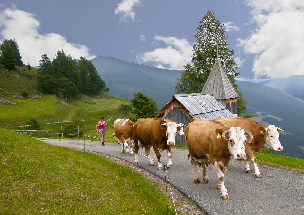 Schrunerhof Ebene Reichenau Habitación foto