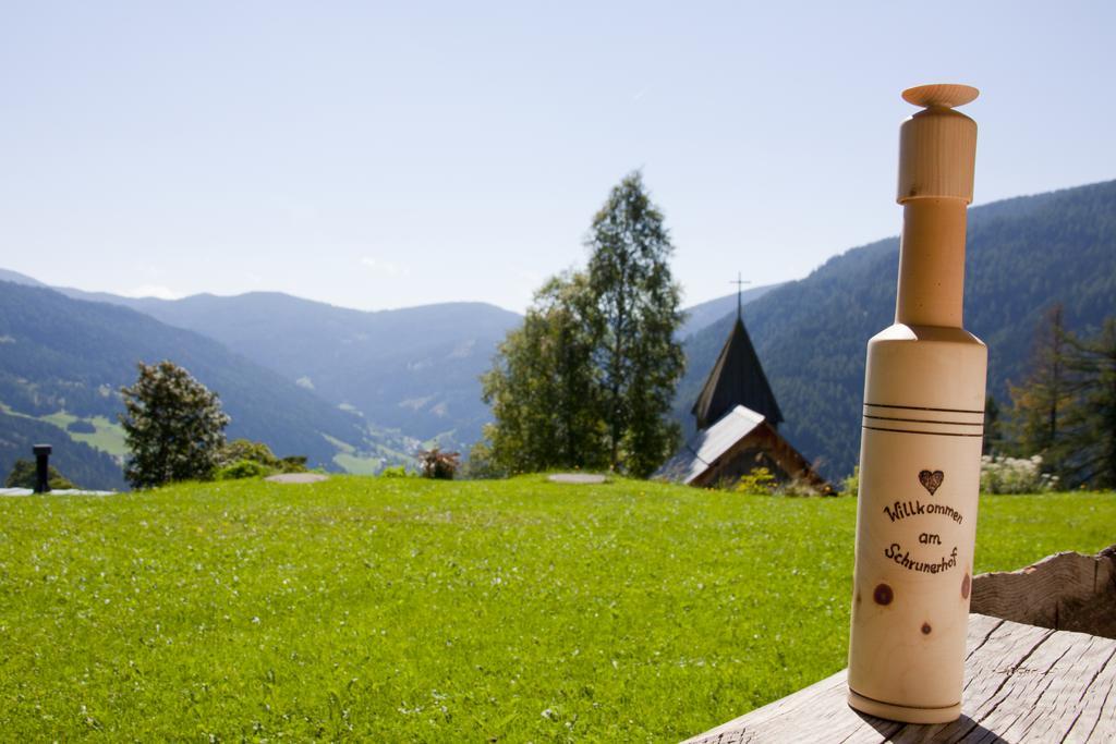 Schrunerhof Ebene Reichenau Habitación foto